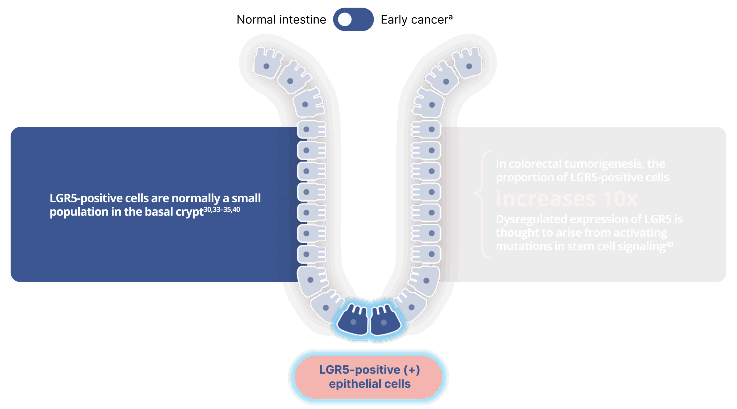2-2sl16-desktop-toggle-a-2