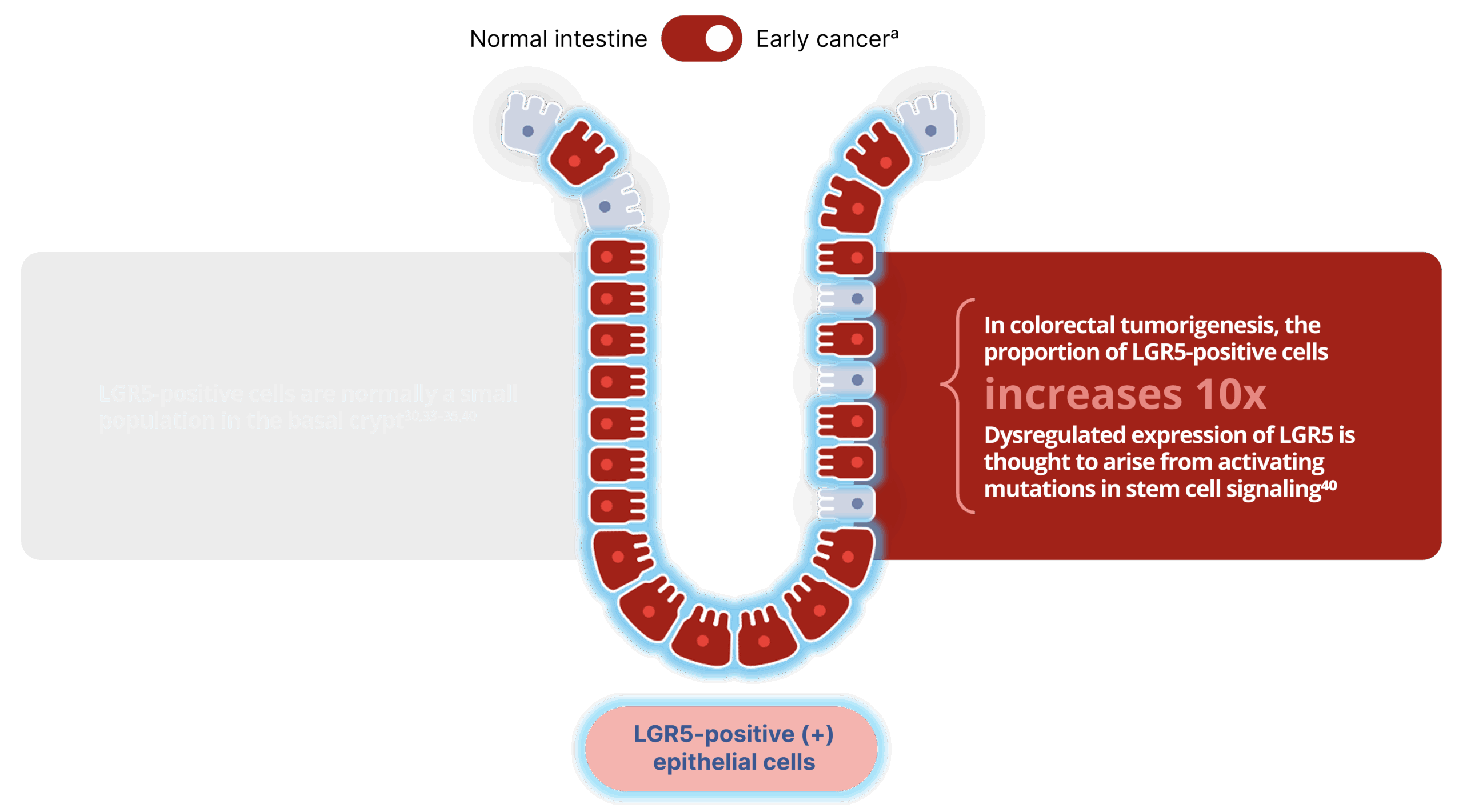 2-2sl16-desktop-toggle-b