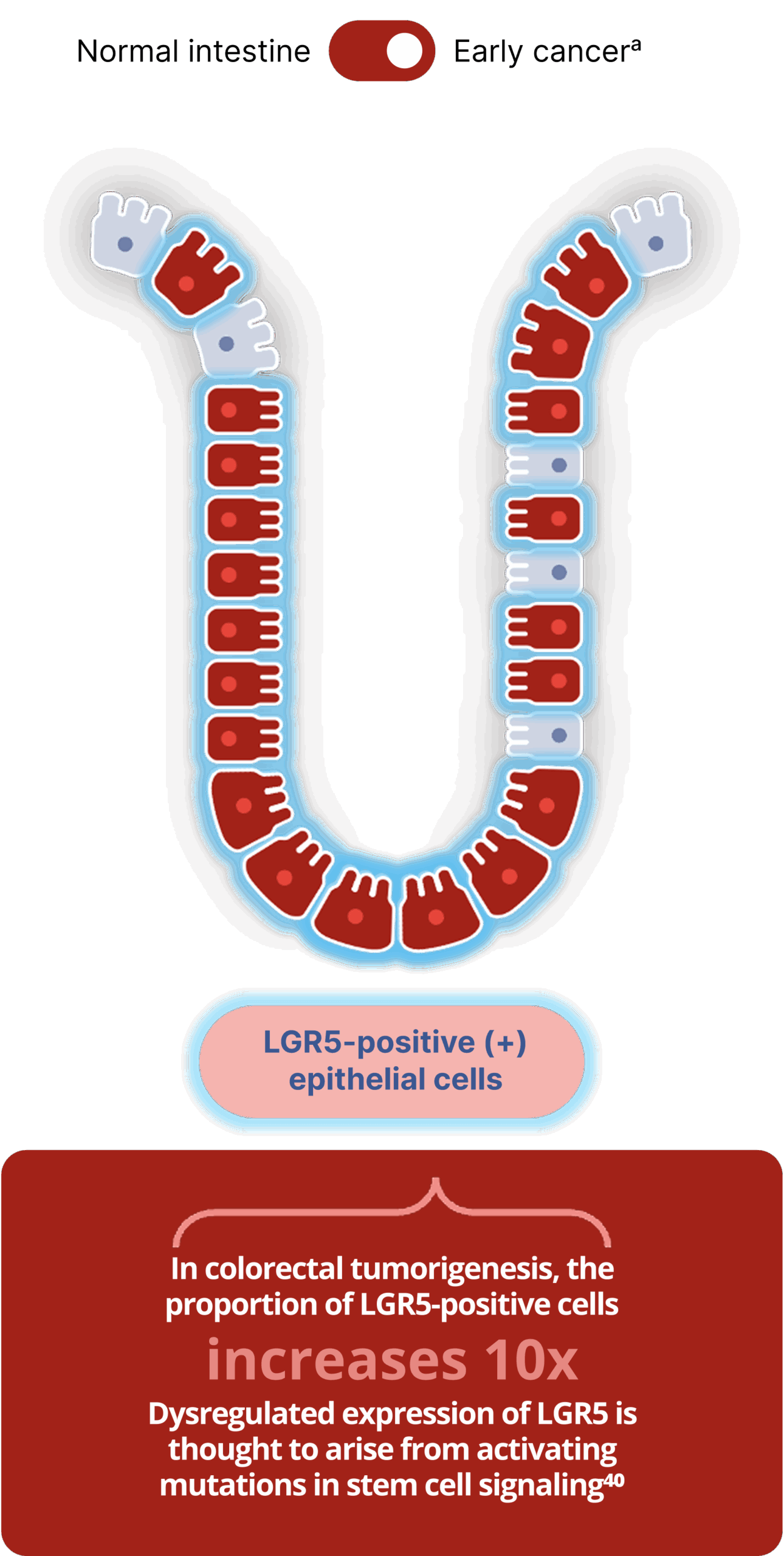 2-2sl16-mobile-toggle-b-2