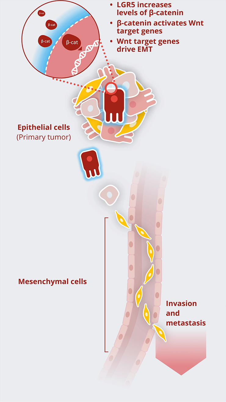 pathogenic-section-3-v1