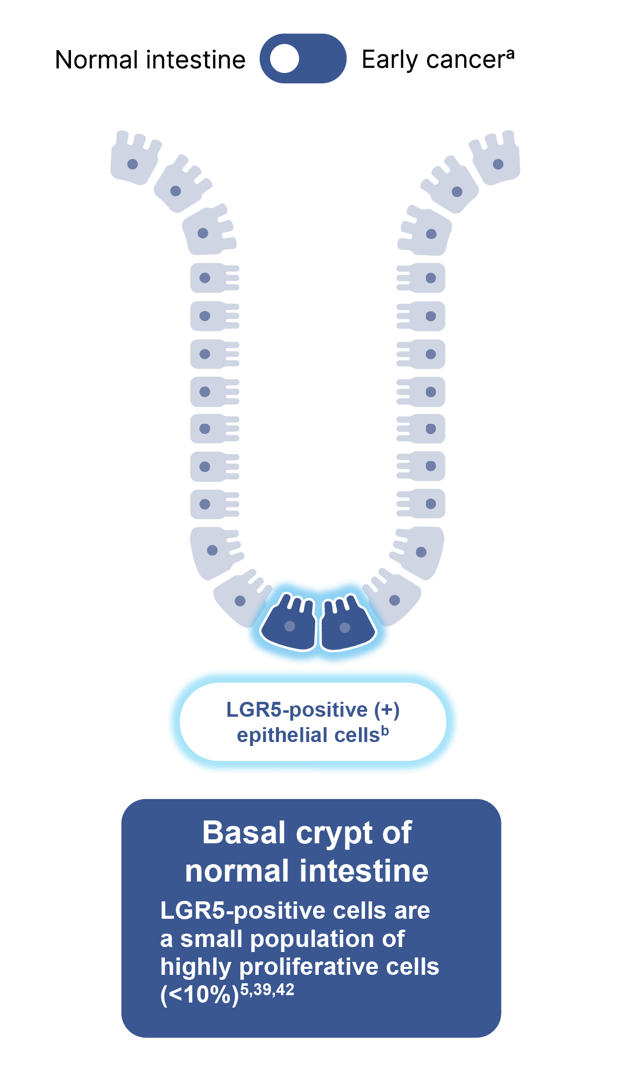chapter2-b1_mobile-2
