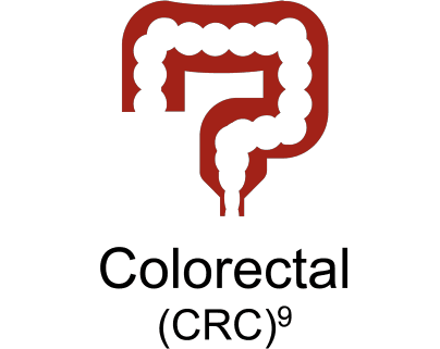 icon-2